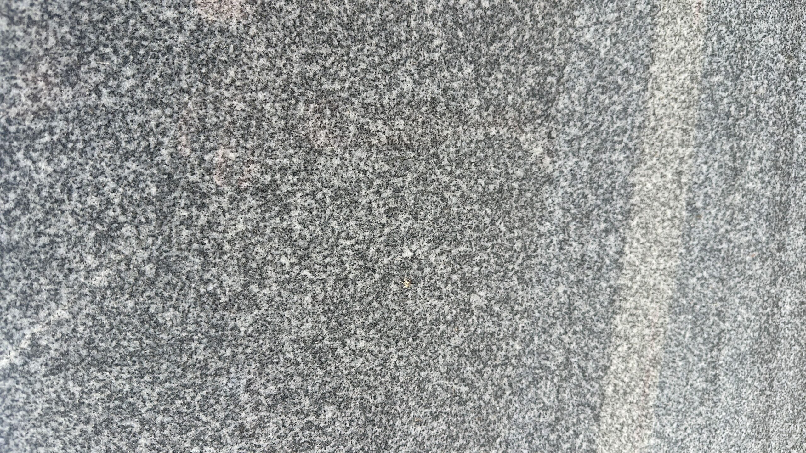 Adhunik Grey